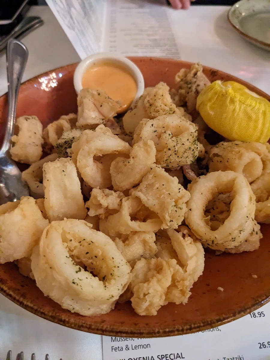 Fried Calamari