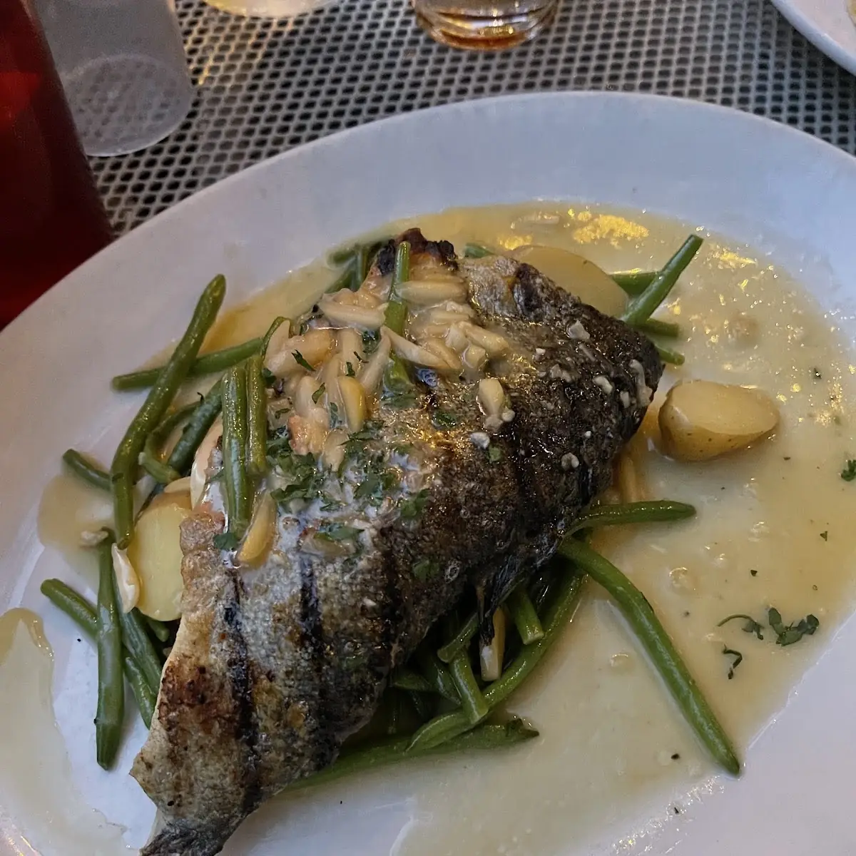 Sea Bass