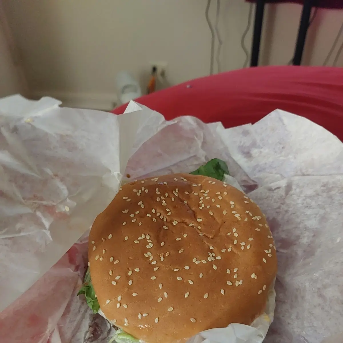 Chicken Fillet