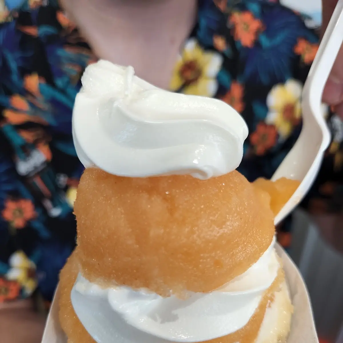 Orange Crush with Vanilla Gelati
