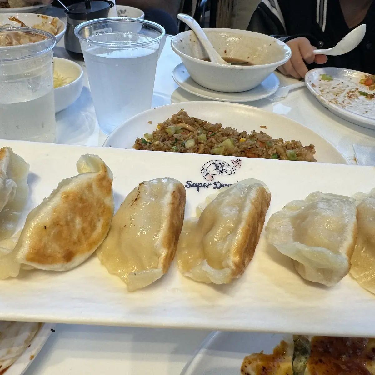 Pan Fried Chicken Dumplings