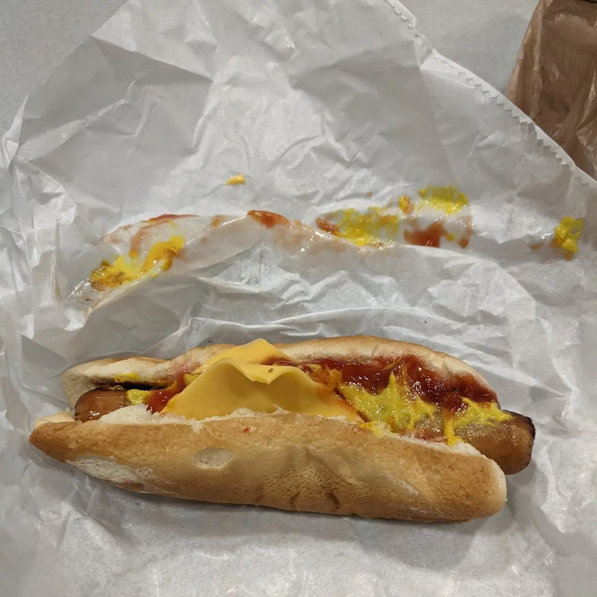 Bacon Cheese Dog