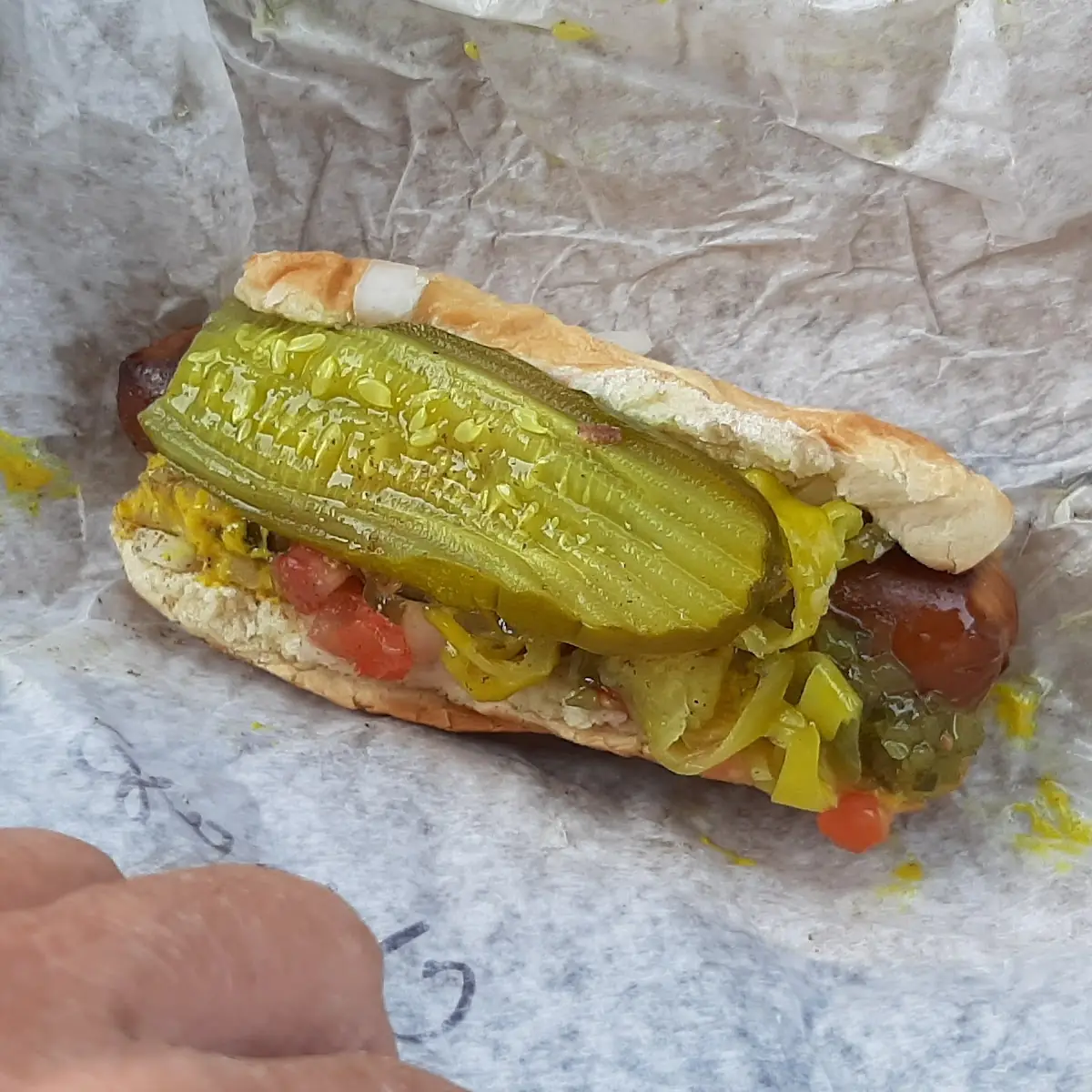 Tonys Hot Dog