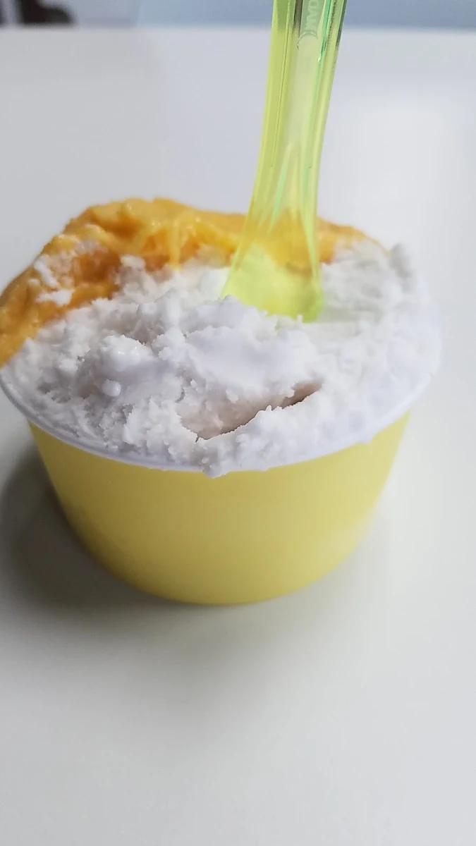 Vegan Gelato