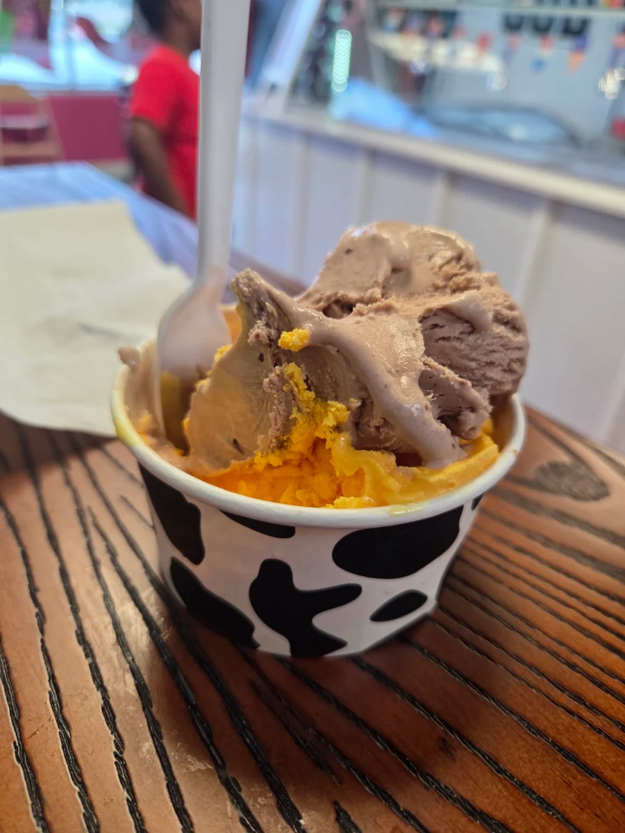 Chocolate Ice Cream