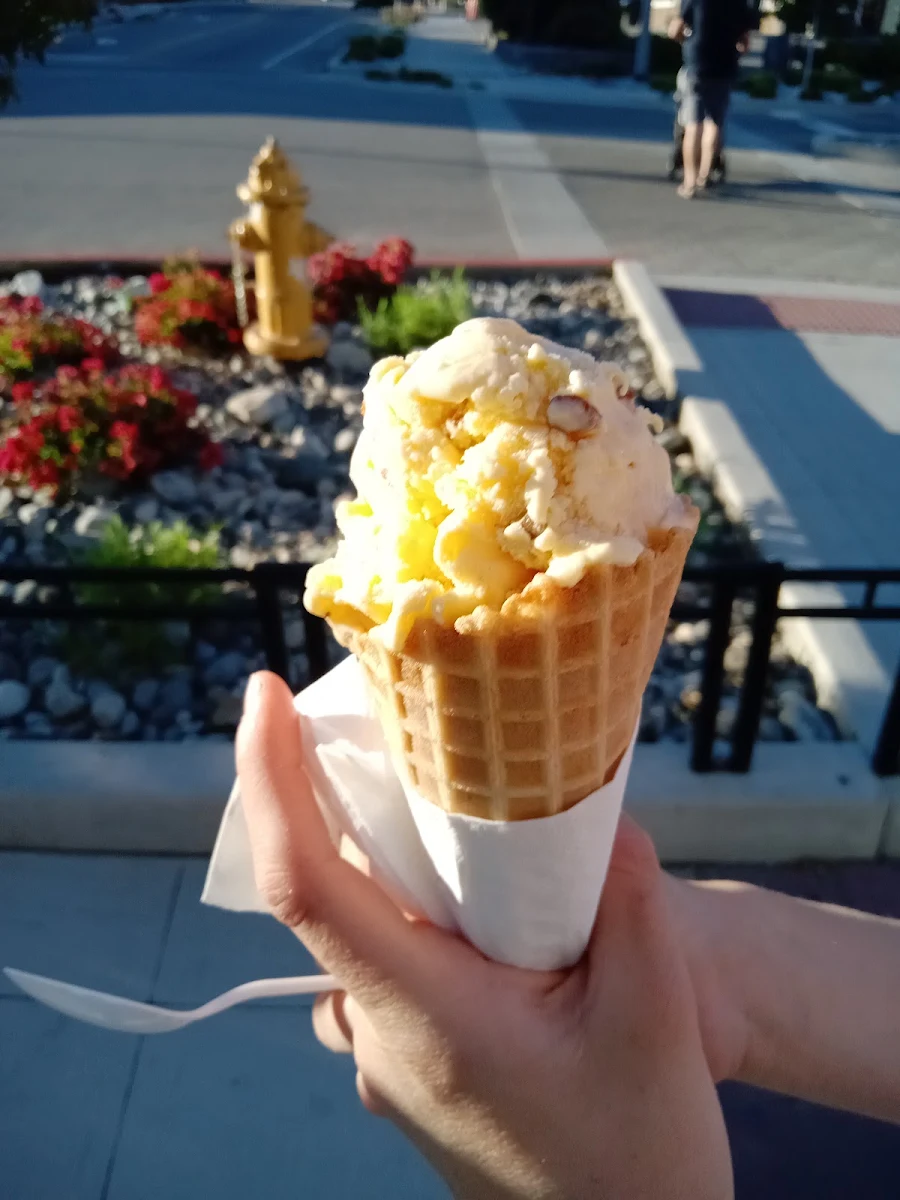 Bitter Pecan One Scoop Waffle Cone