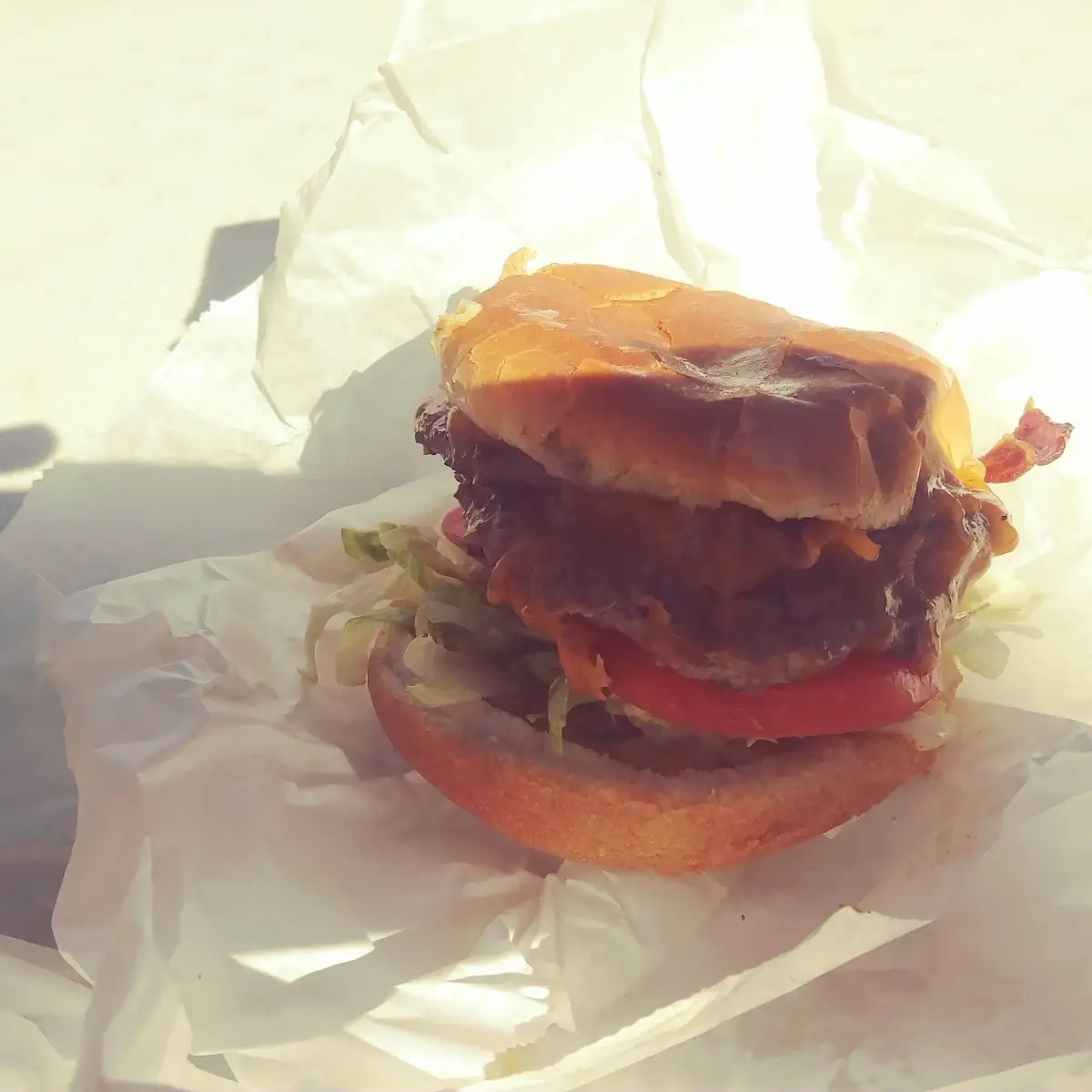 Double Cheese Burger