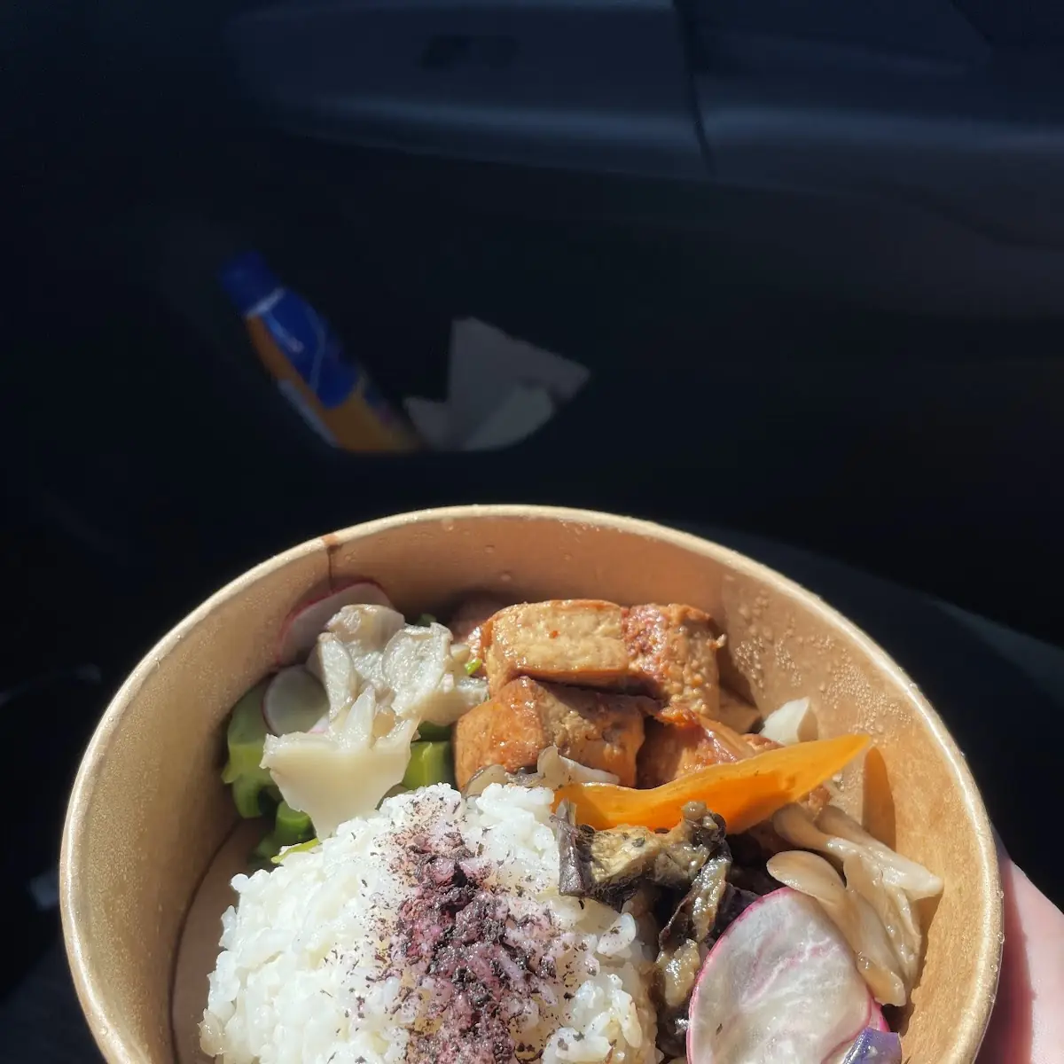 Donburi Rice Bowl
