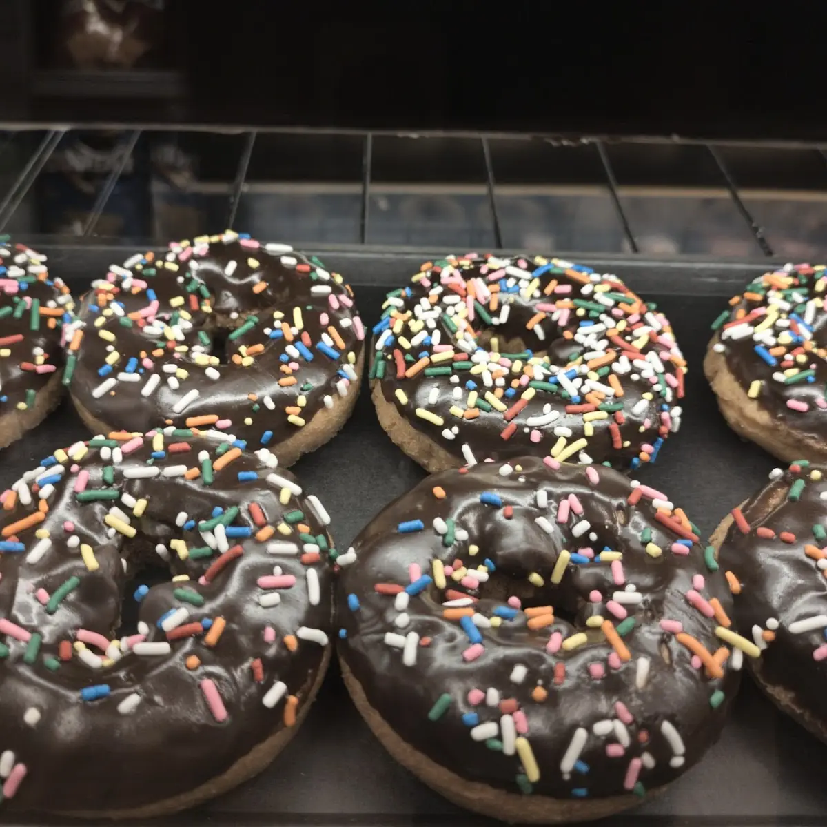 Doughnut