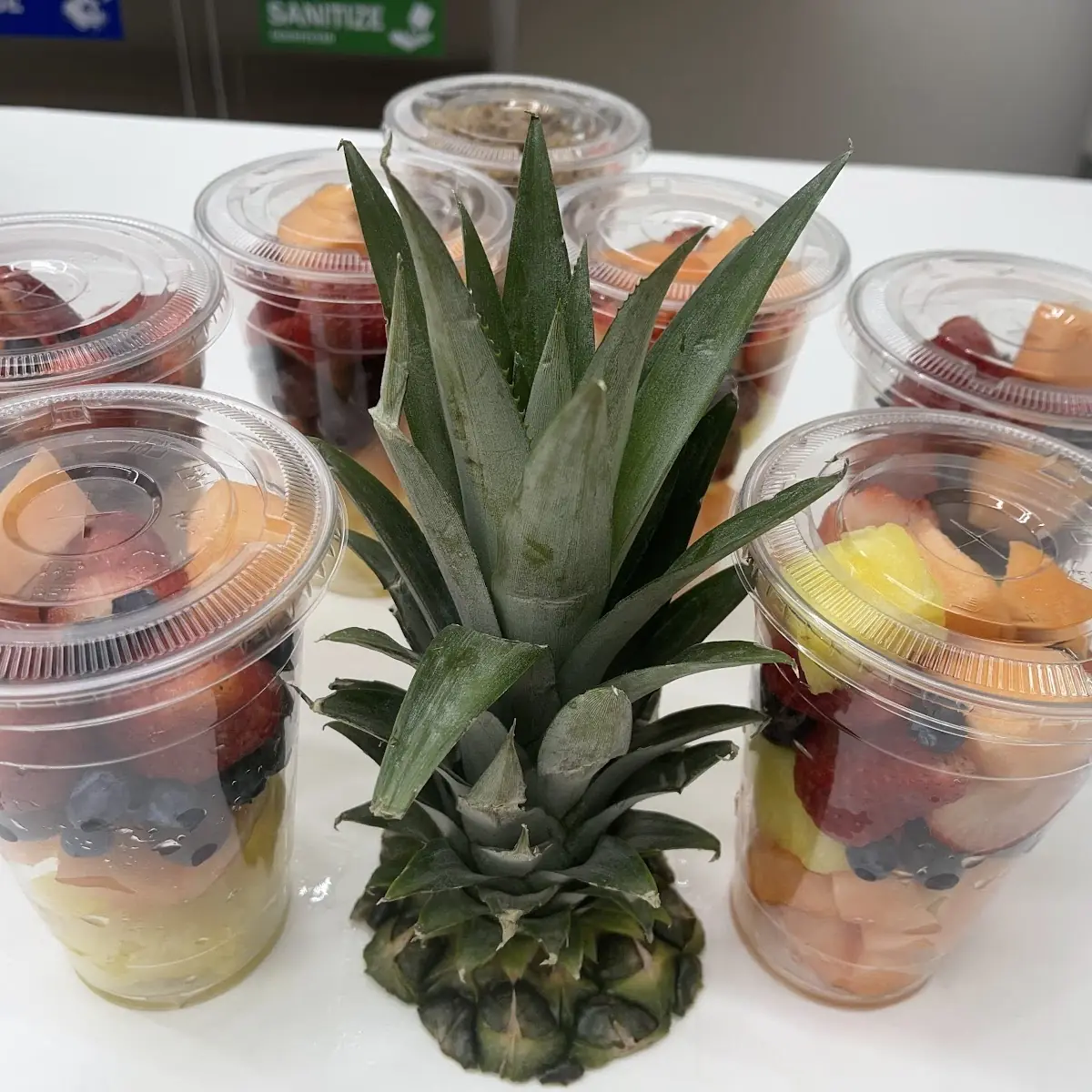 Fruit Cup