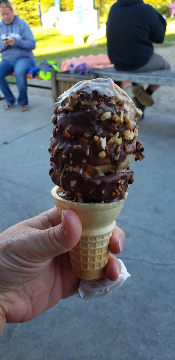 Chocolate Ice Cream Dipped in Chocolate and Nuts