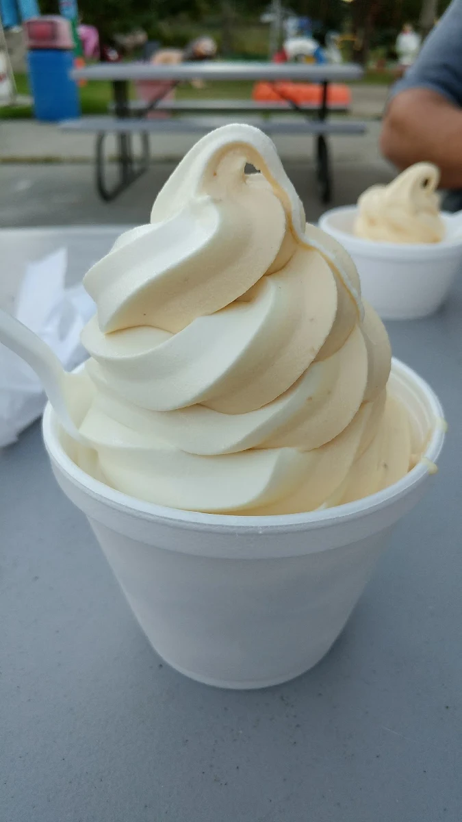 Pumpkin Spice Frozen Custard