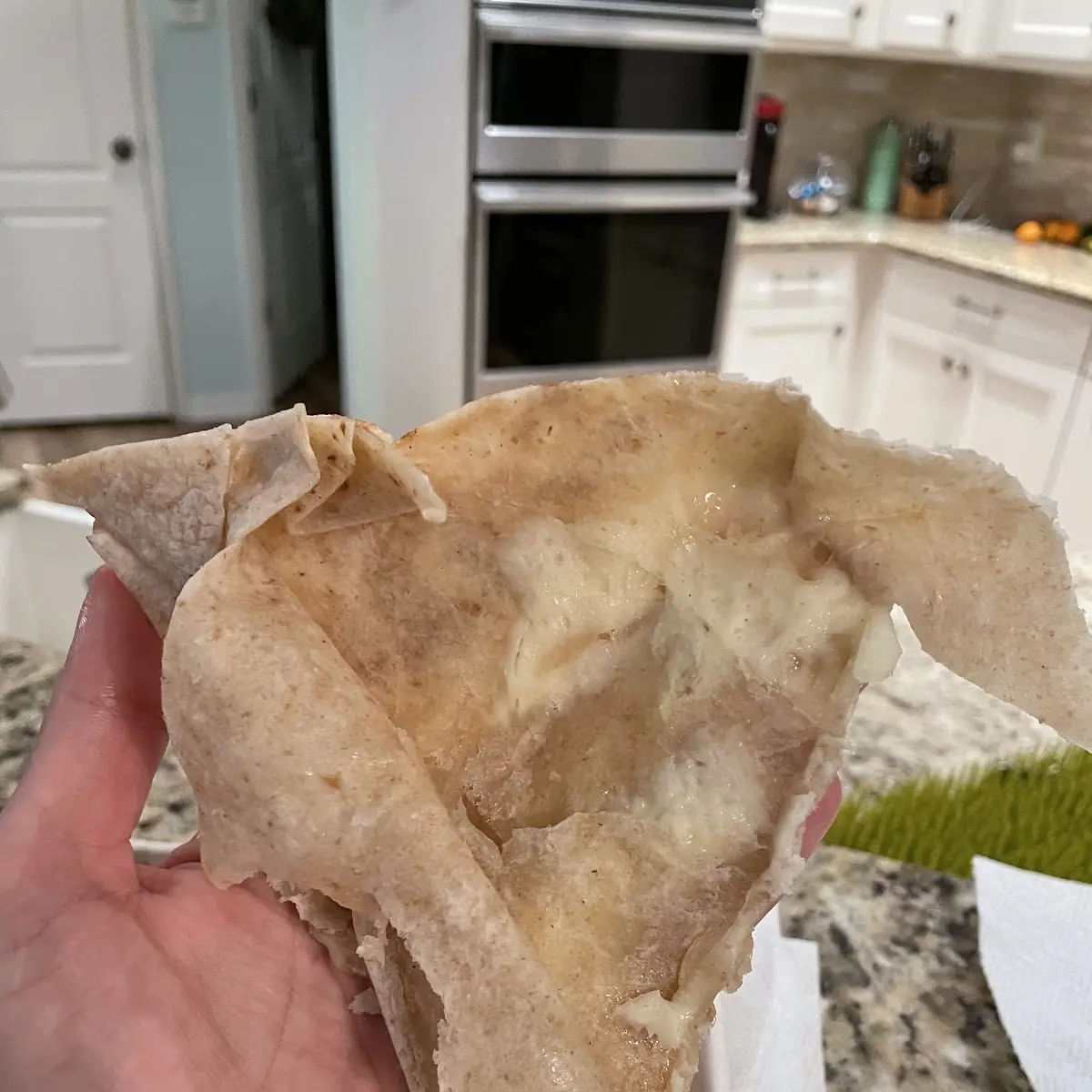 Cheese Quesadilla