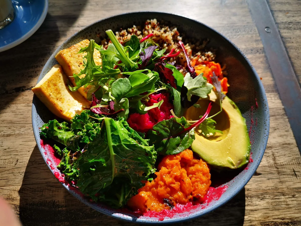 Vegan Bowl, motherduck