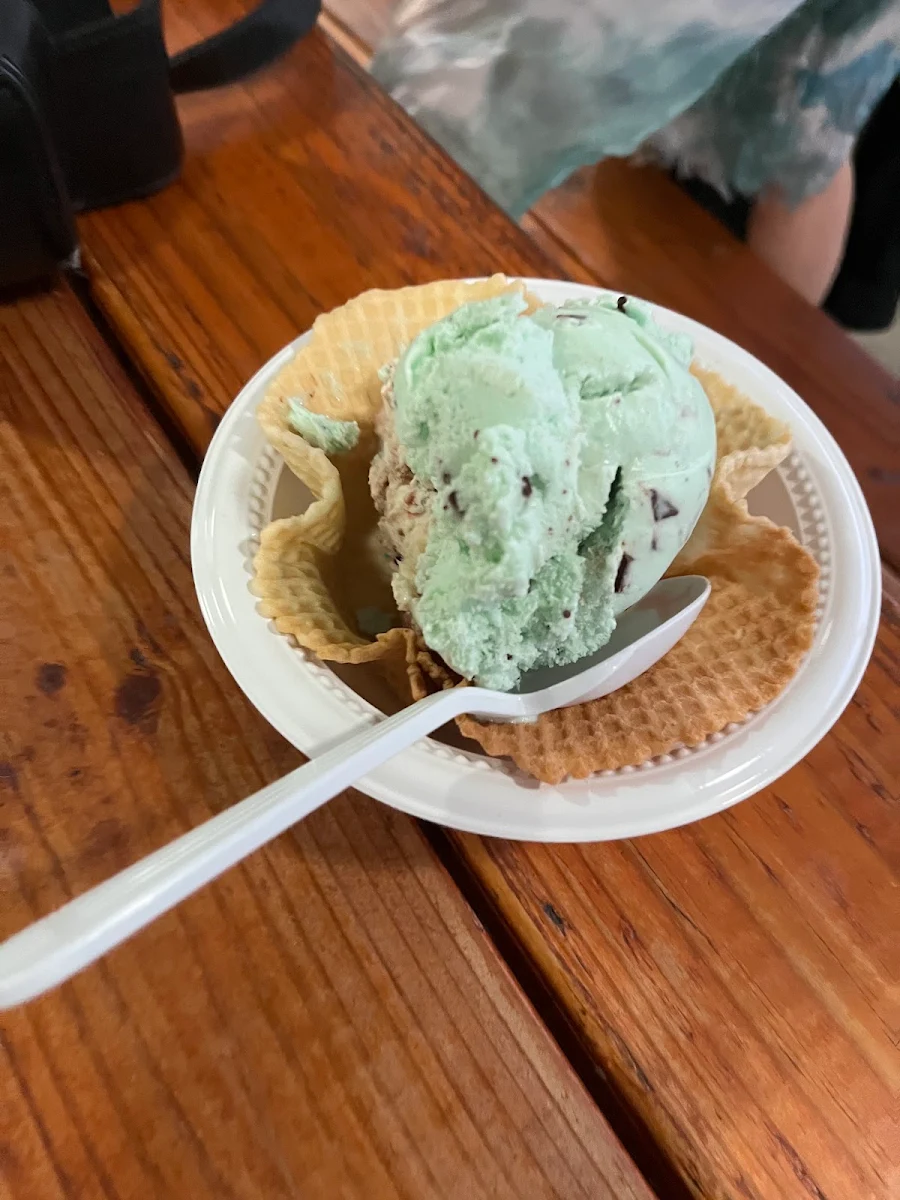 Mint Chip