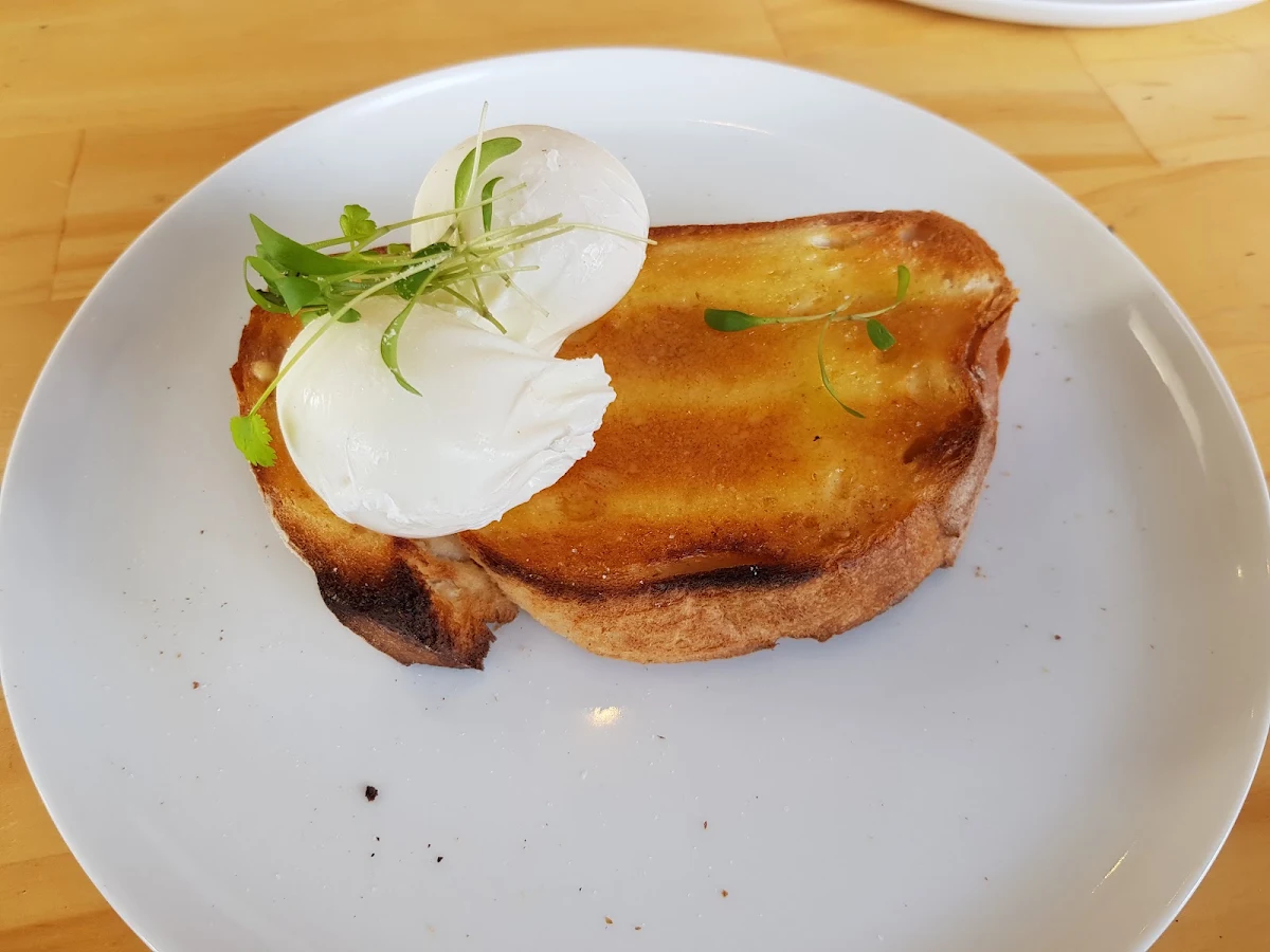 Poached Eggs on Toast