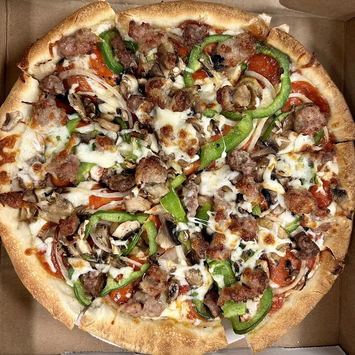 Pizza Pal Everything Pizza