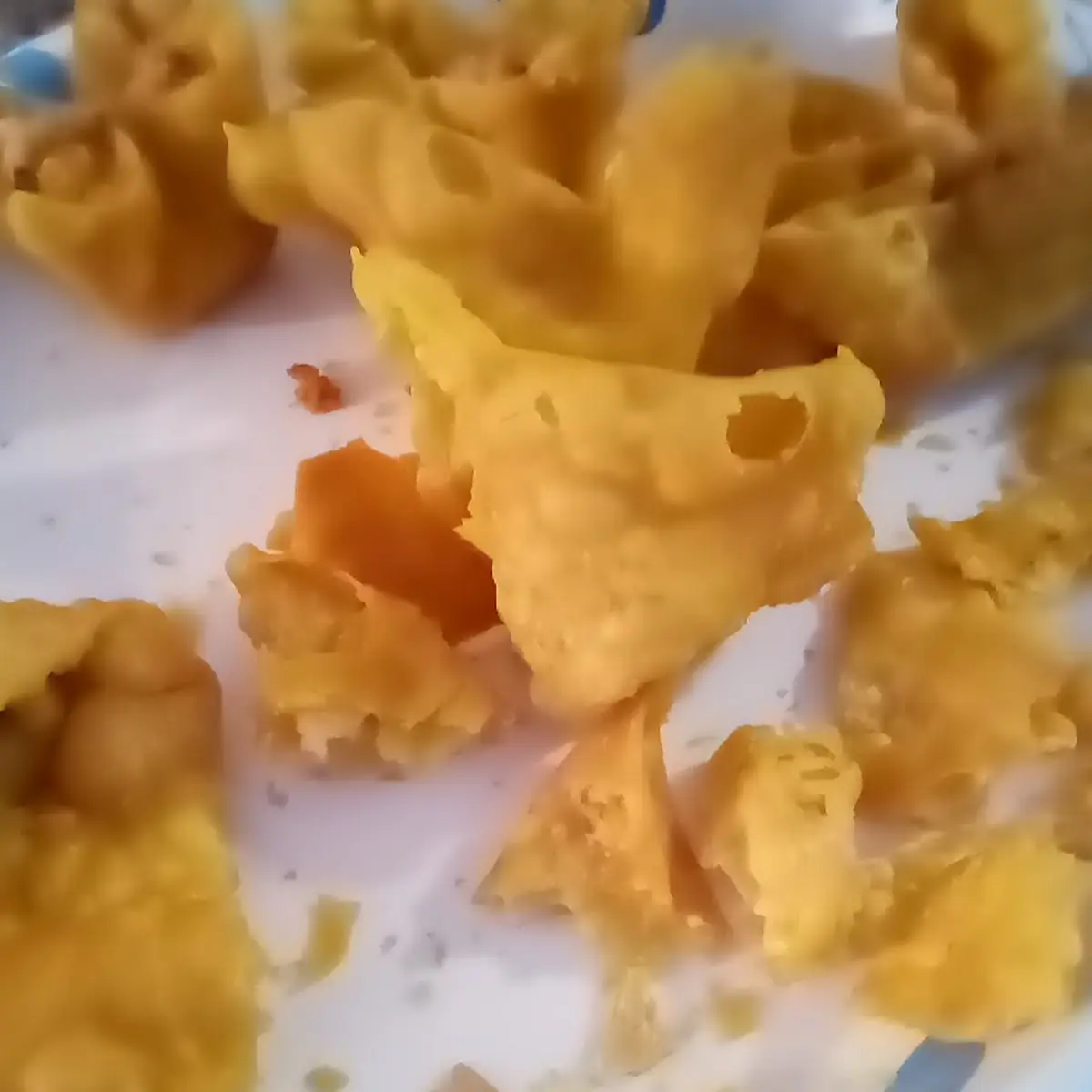 Fried Wonton
