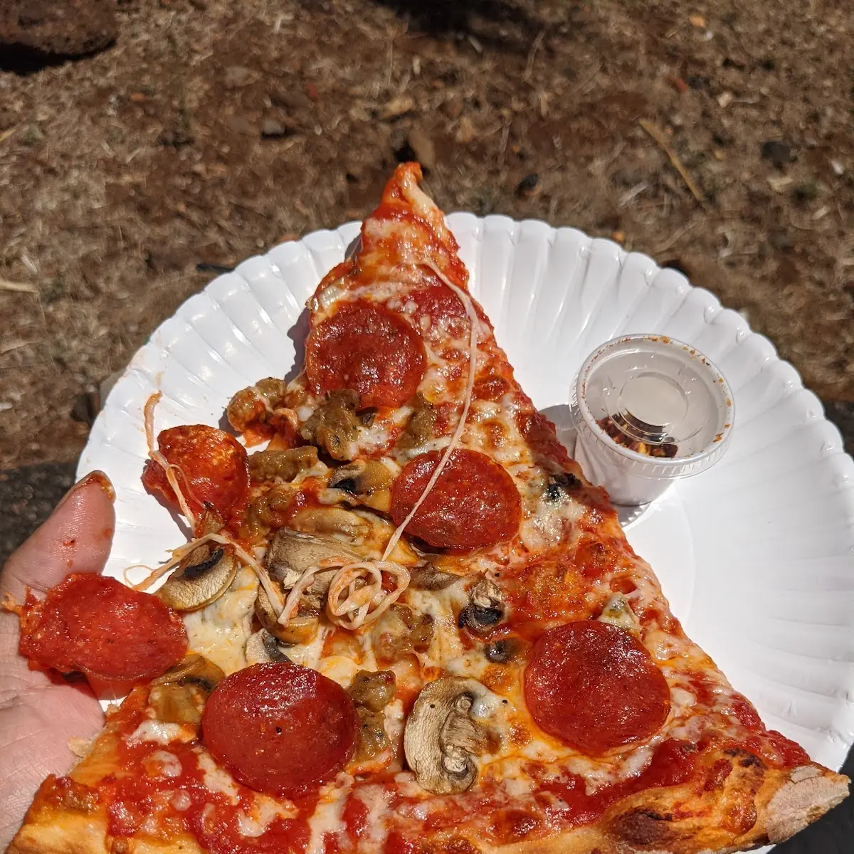 Pepperoni Mushroom and Black Olive Pizza