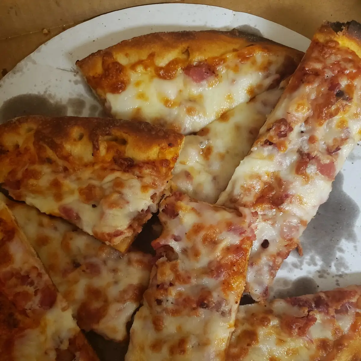 Cheese Pizza with Bacon and Canadian Bacon