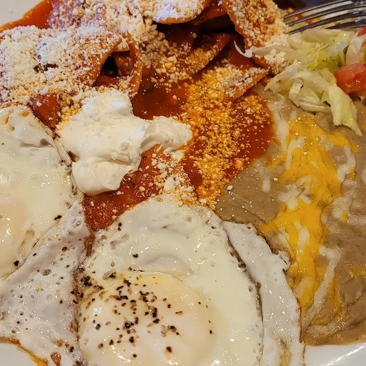 Special Chilaquiles Rojos