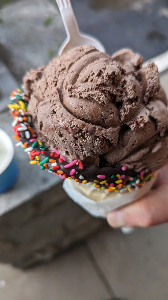 Chocolate Ice Cream