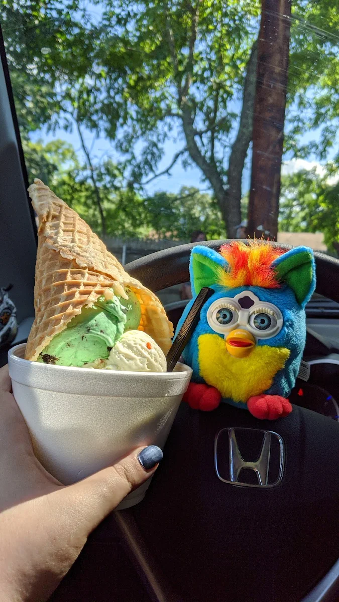 Mint Chocolate Chip and Birthday Cake Ice Cream