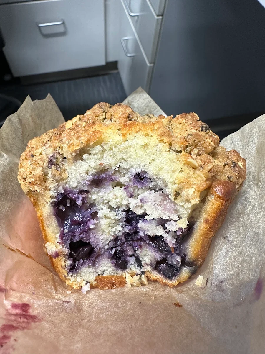 Blueberry Muffin