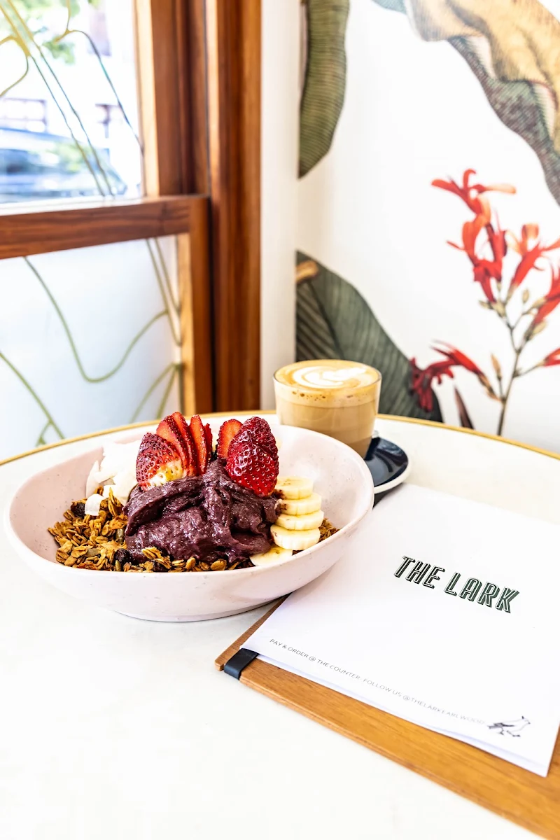Highlights, THE LARK EARLWOOD