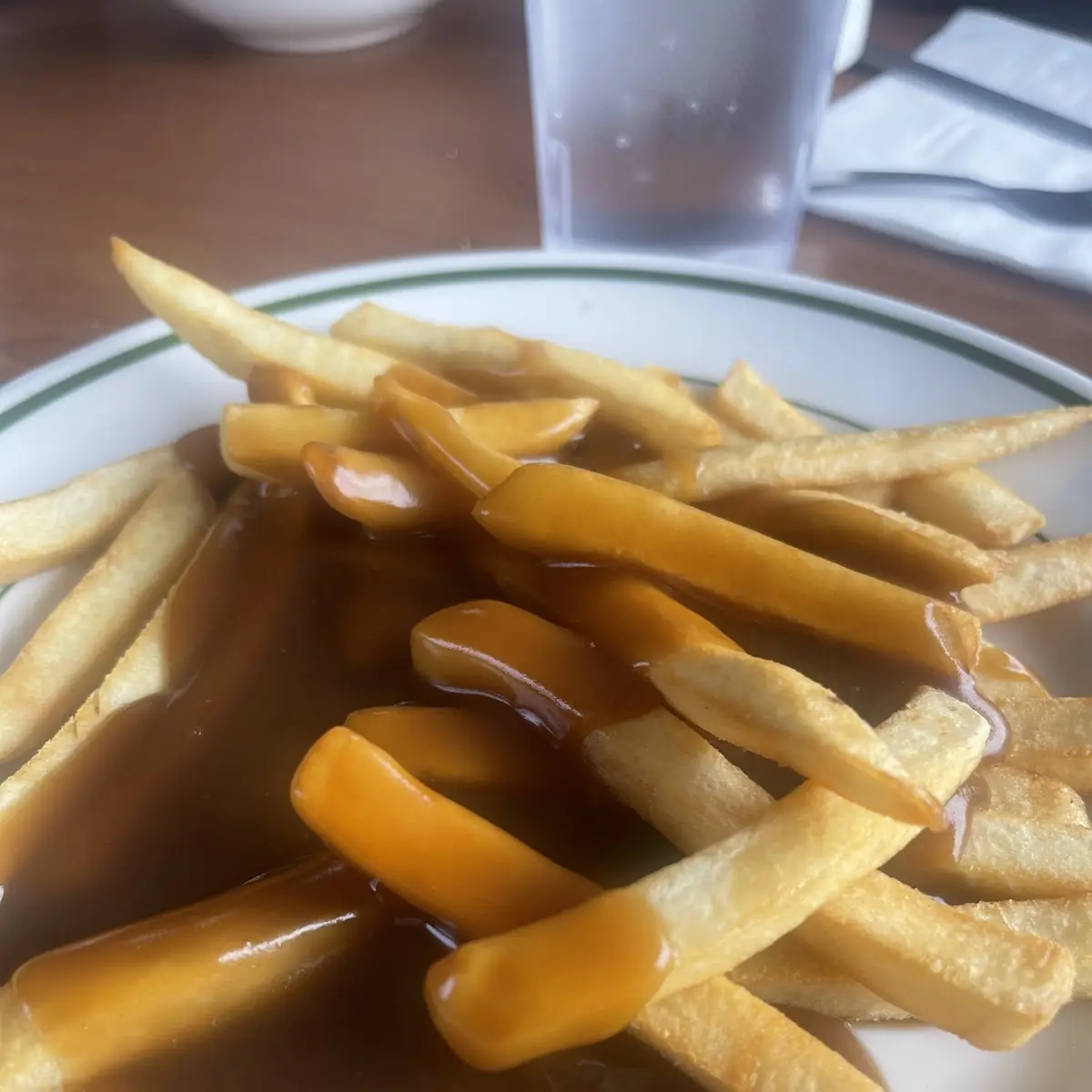 Fries with Brown Gravy