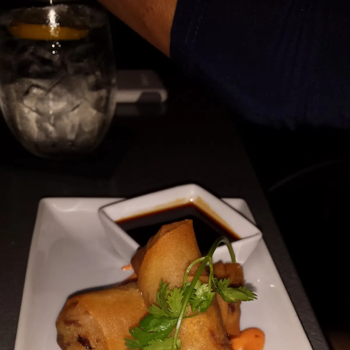 Filet Mignon Spring Rolls