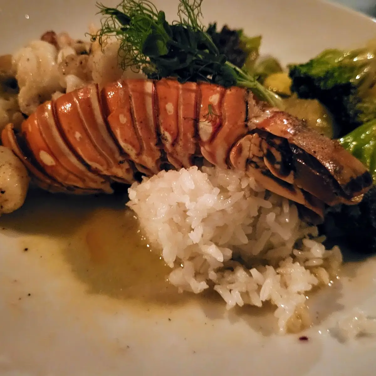 Key West Pink Shrimp and Scallops