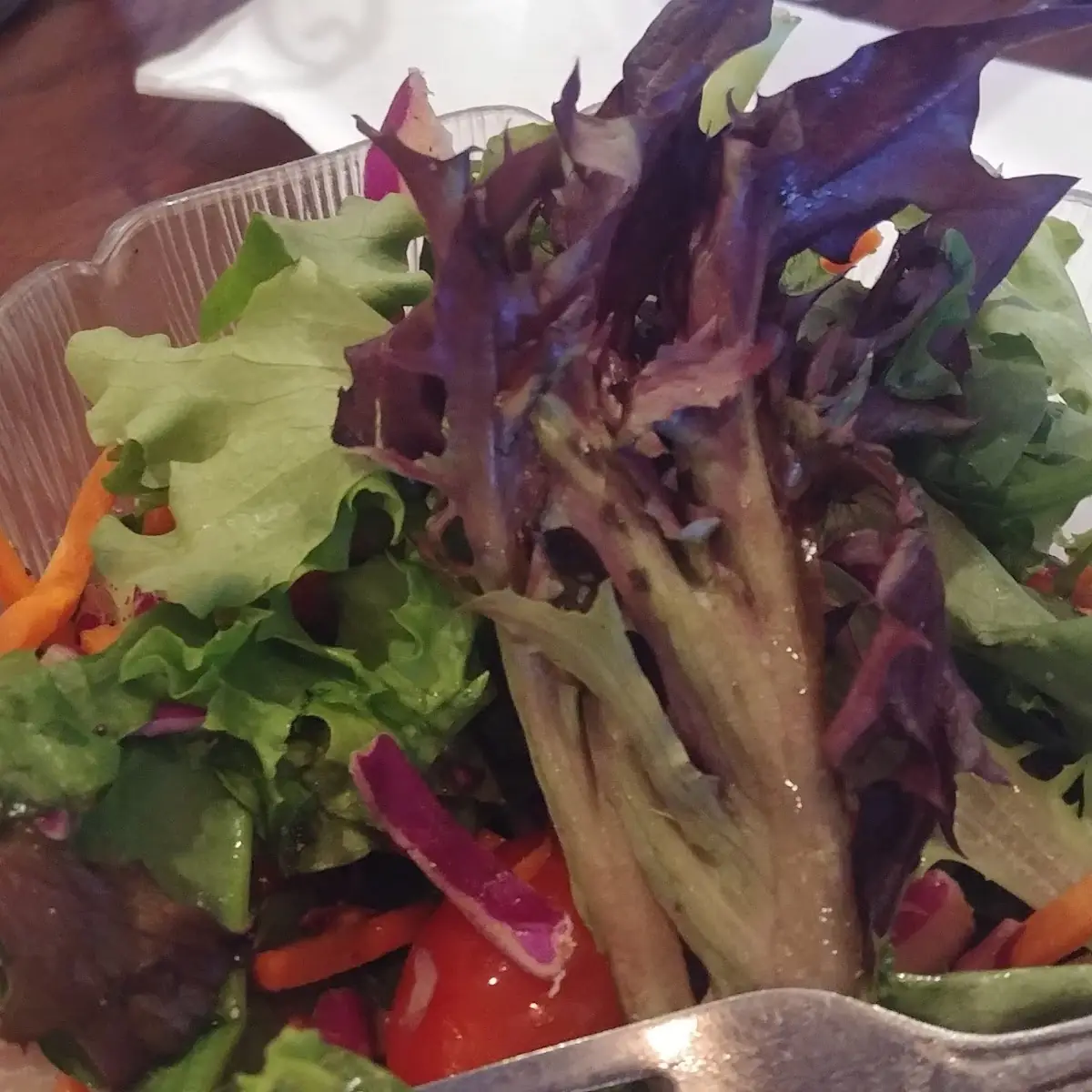 Garden Salad