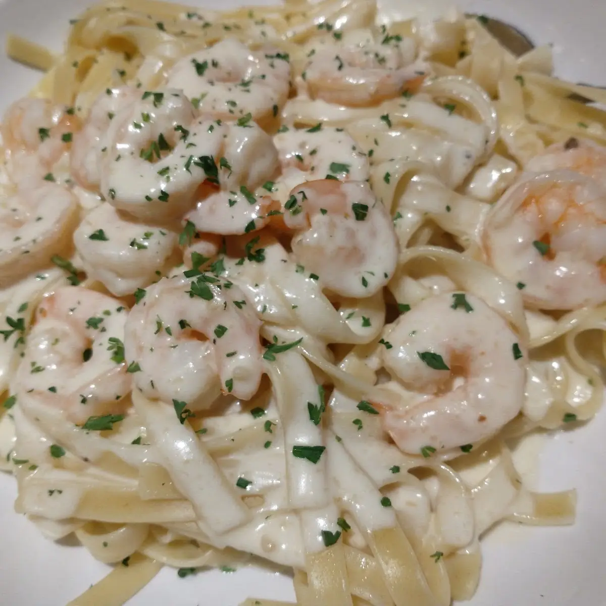 Shrimp Alfredo
