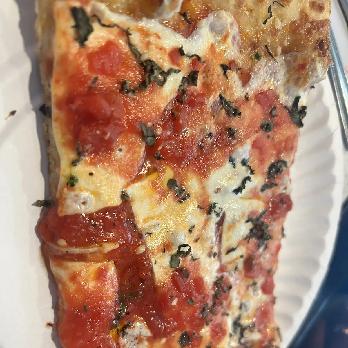 Thin Crust Margherita Pizza