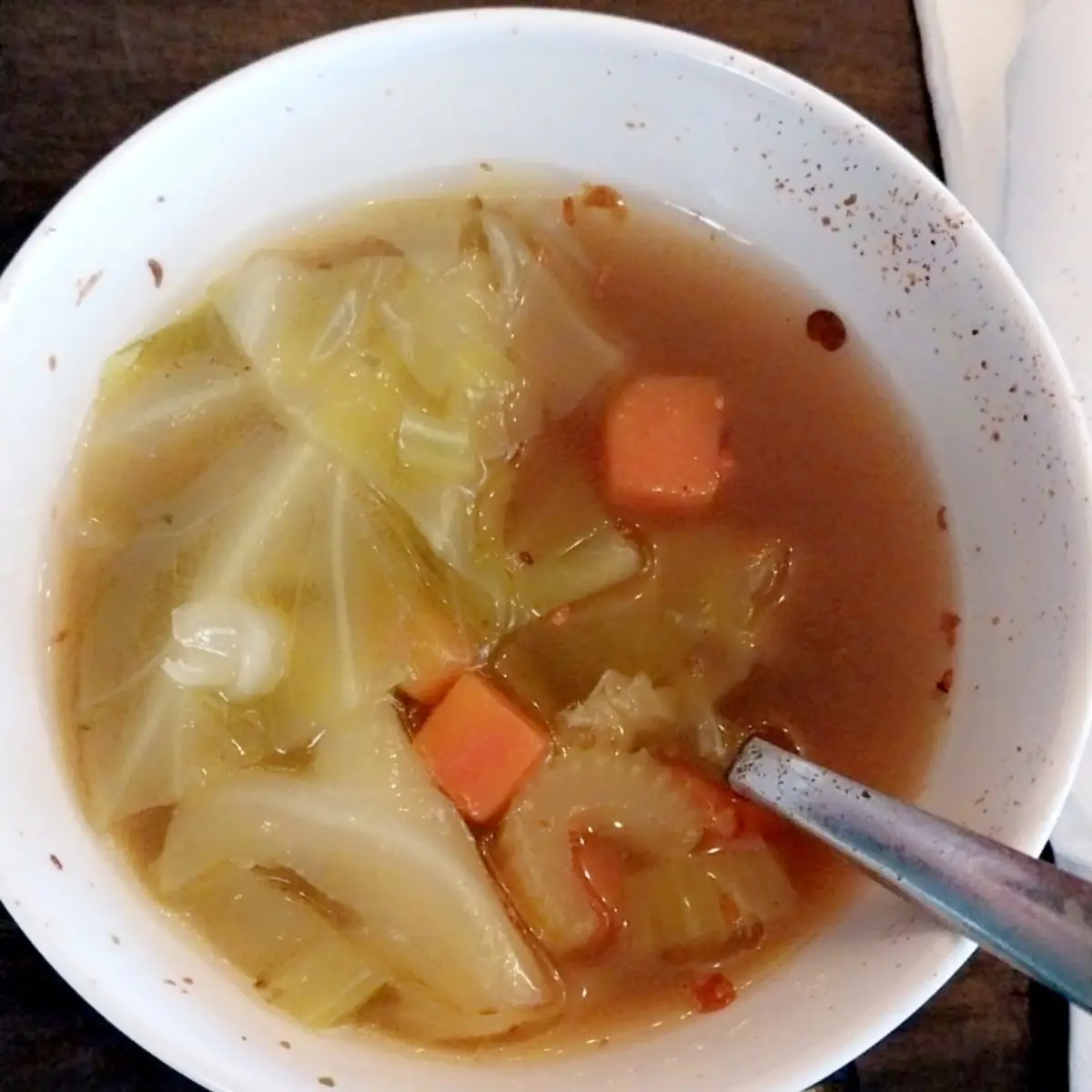 Vegetable Soup