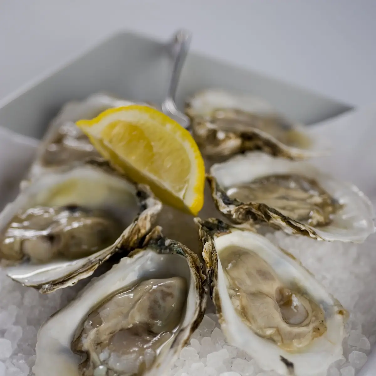 Oysters on the Half Shell