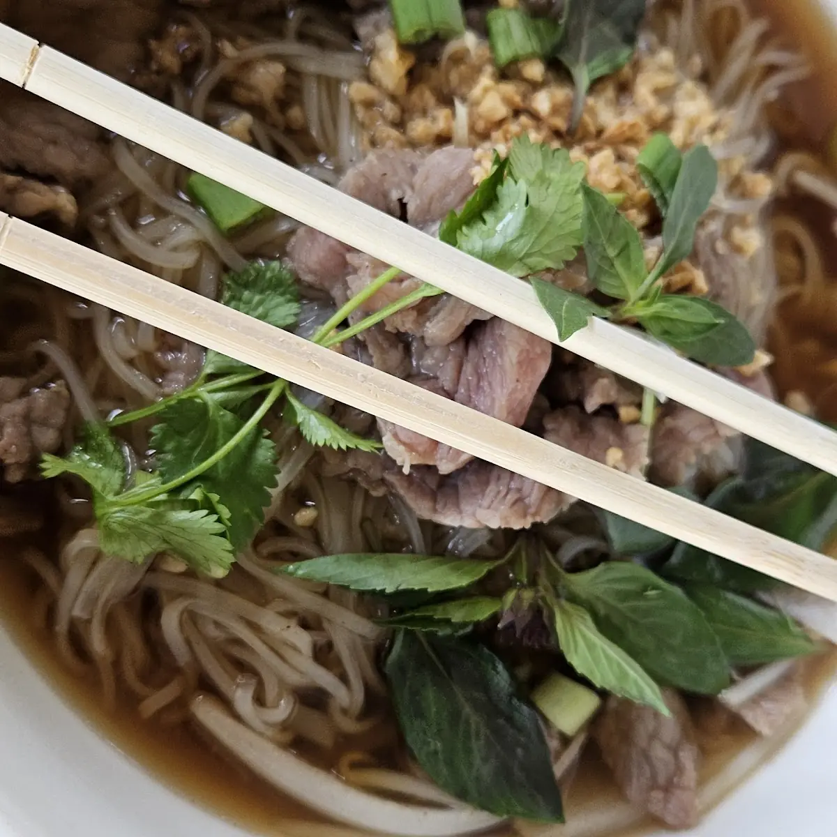 Beef Noodle Soup Phò