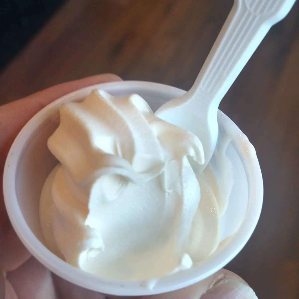 Frozen Custard