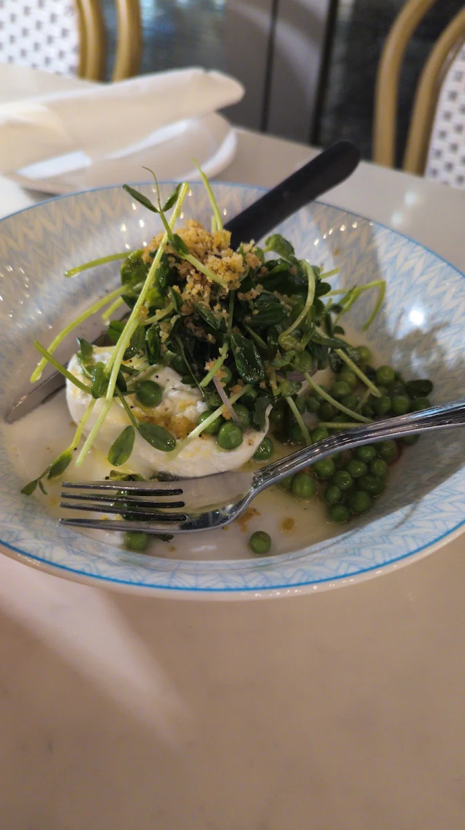 Burrata Salad