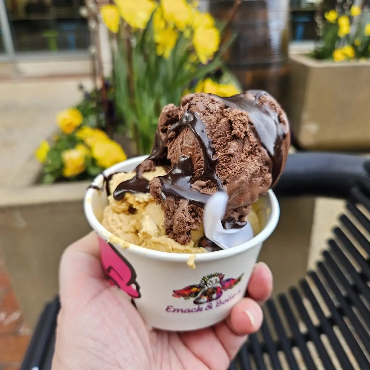 Chocolate Ice Cream