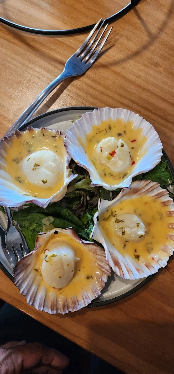 Tasmanian Scallops