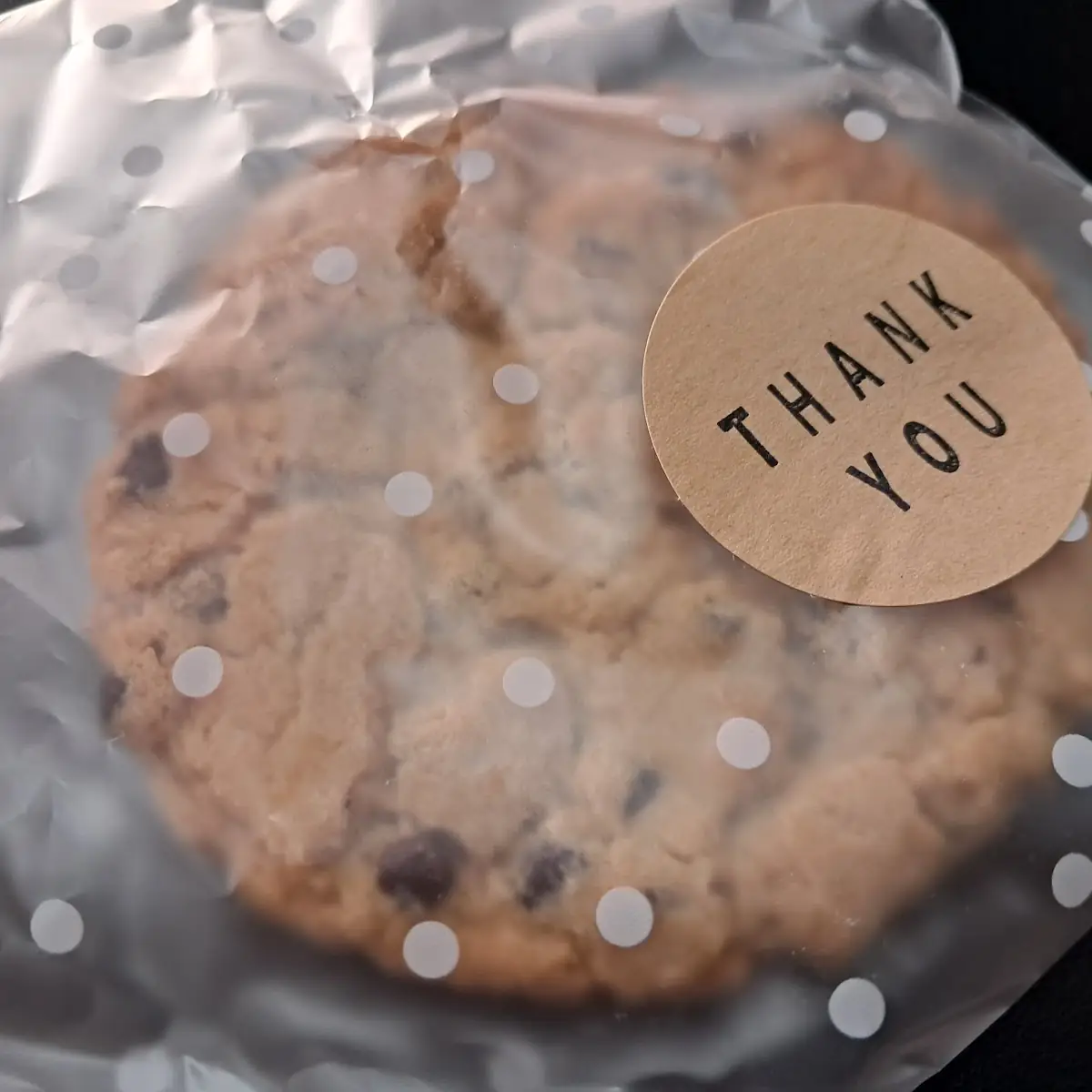 Chocolate Chip Cookie