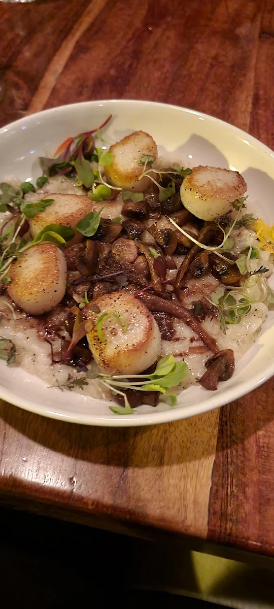 Scallops and Risotto