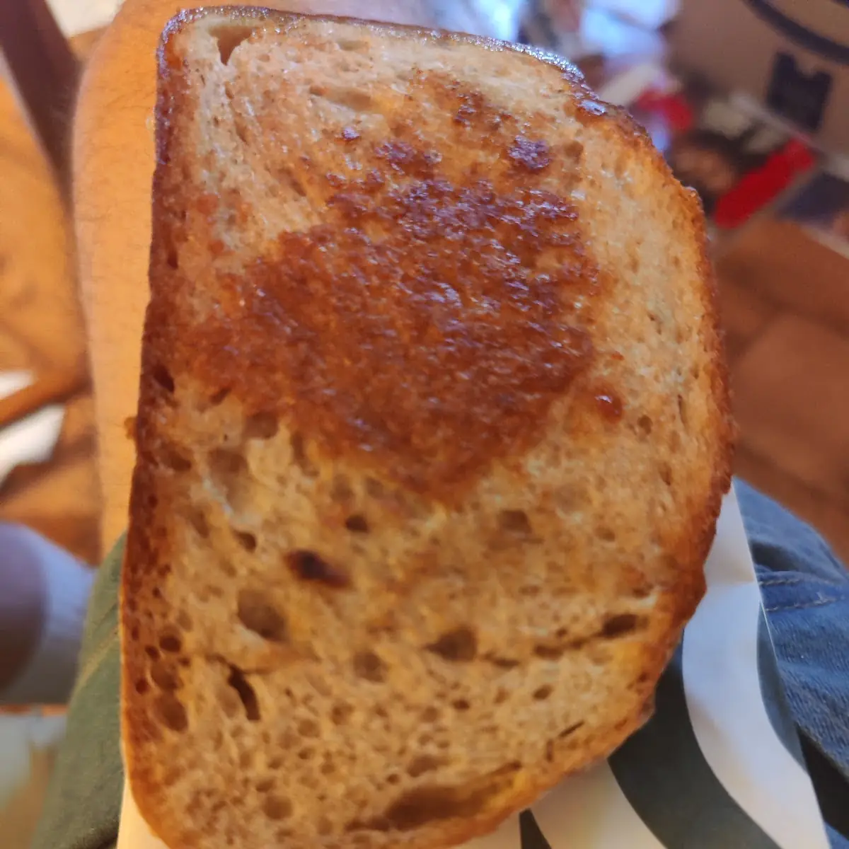 Crispy Cheese Sandwich
