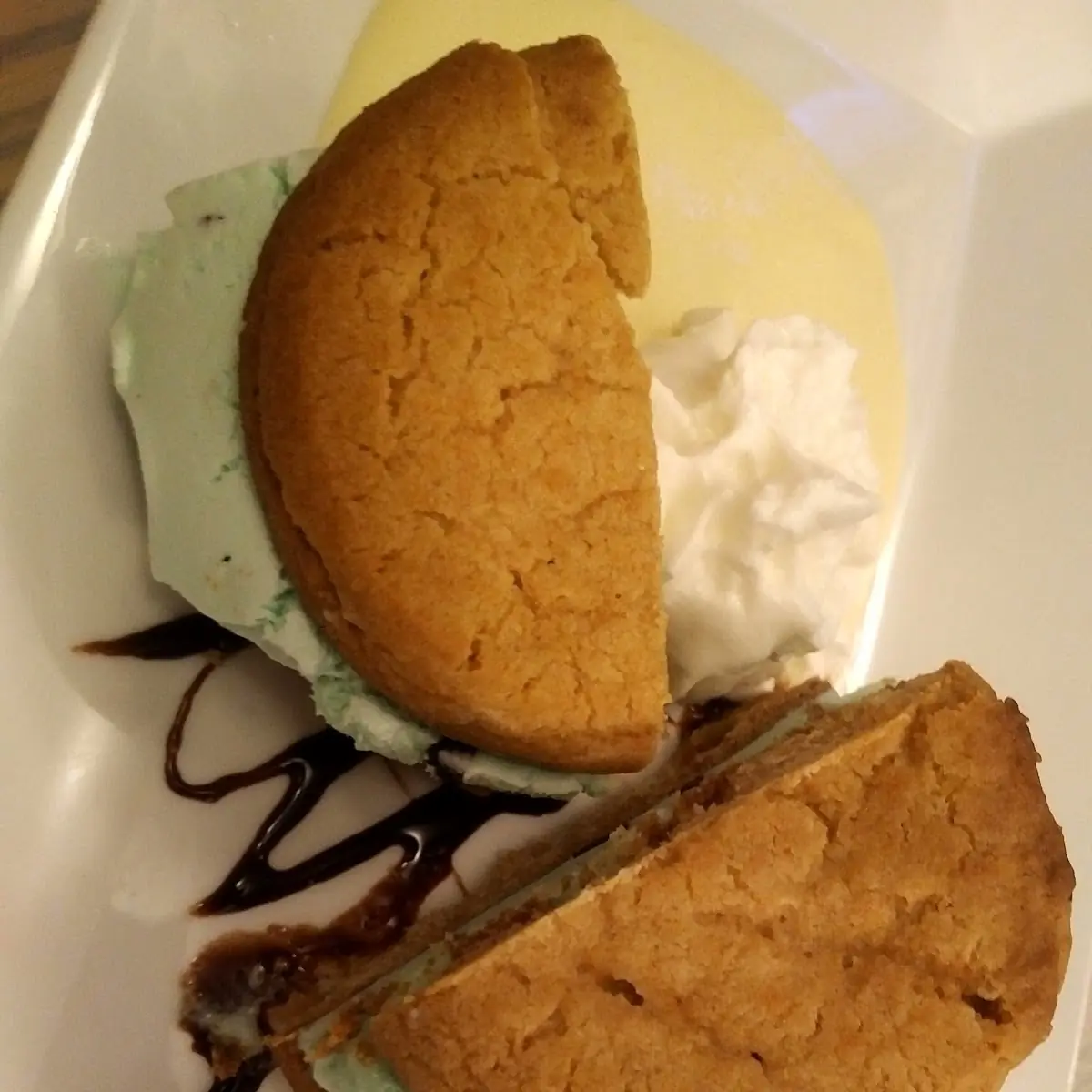 Mint Chocolate Chip Ice Cream Sandwich