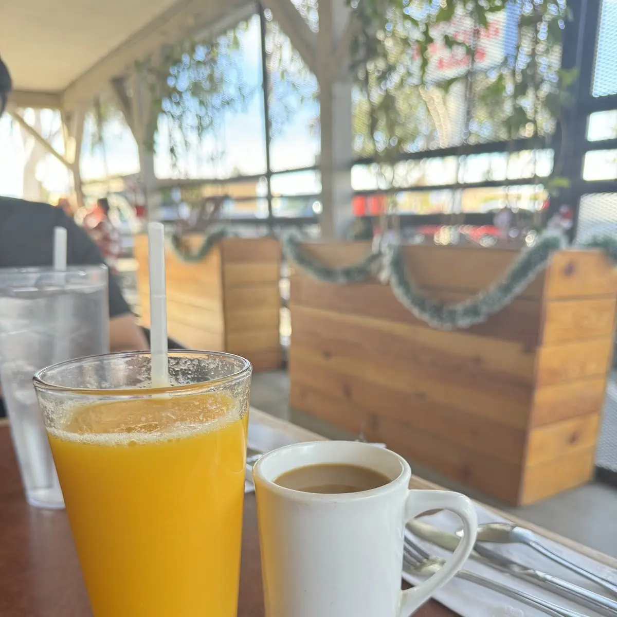 Freshly Squeezed Orange Juice