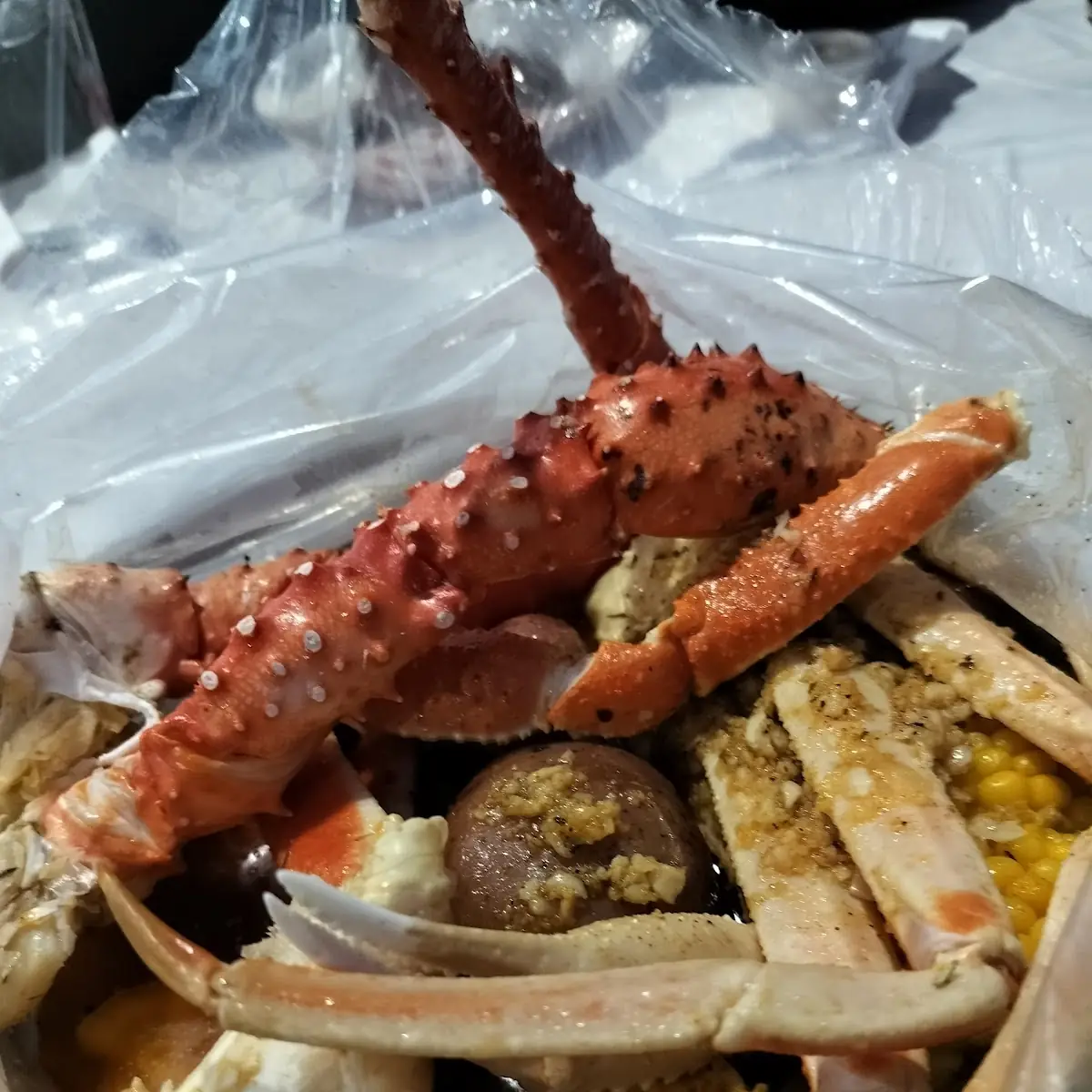 Snow Crab