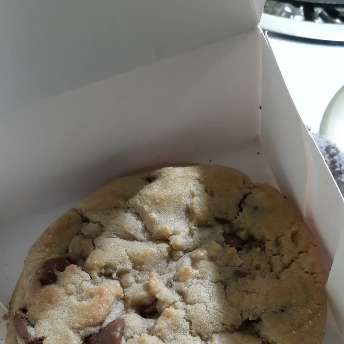 Chocolate Chip Cookie