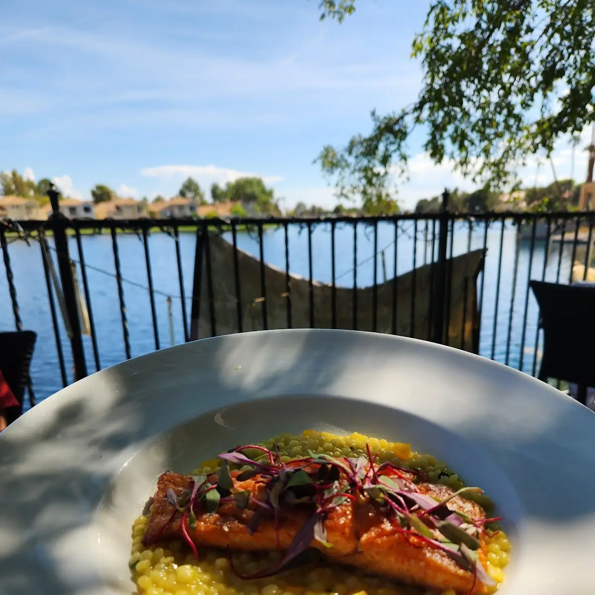 Pan Seared King Salmon